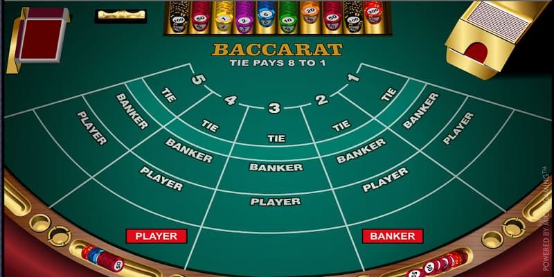Thuật toán baccarat về cách tối ưu để tránh rủi ro
