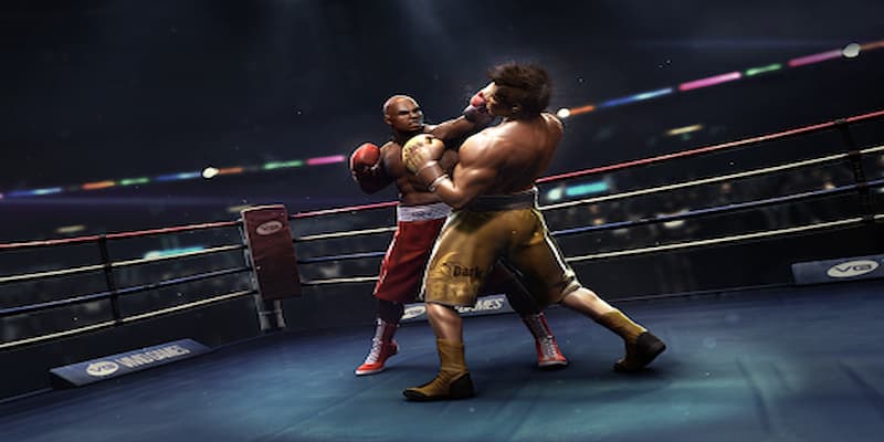 Cá cược boxing về các hình thức