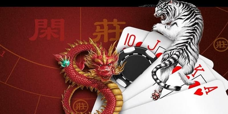 Cách chơi rồng hổ Cách chơi rồng hổ các bước cơ bản