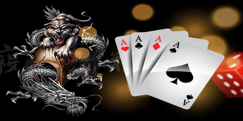 Cách chơi rồng hổ Cách chơi rồng hổ những lỗi sai thường gặp